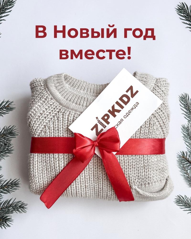 В Новый год — вместе с ZipkidZ!