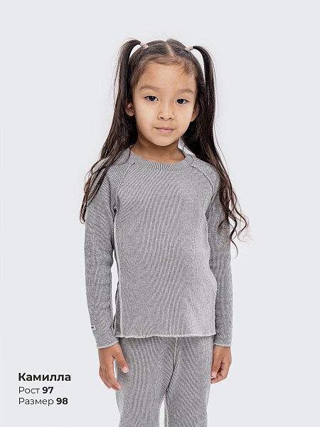 Термо костюм кофта и брюки без начеса