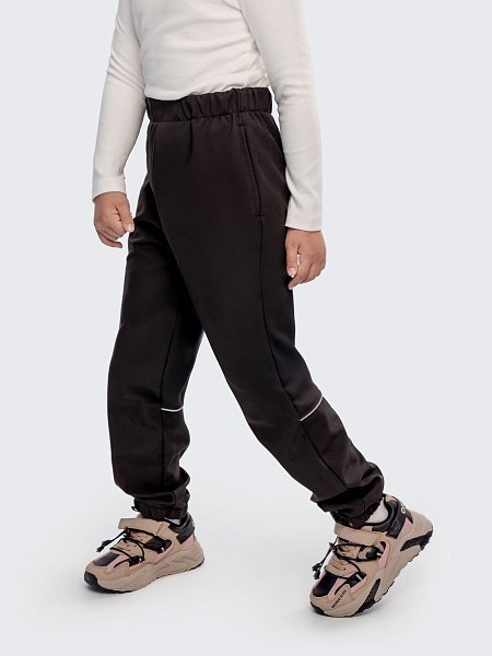 Брюки софтшелл