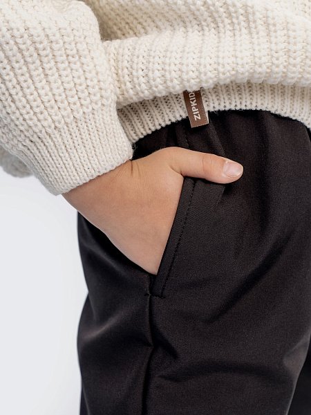 Брюки софтшелл