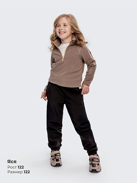 Брюки софтшелл